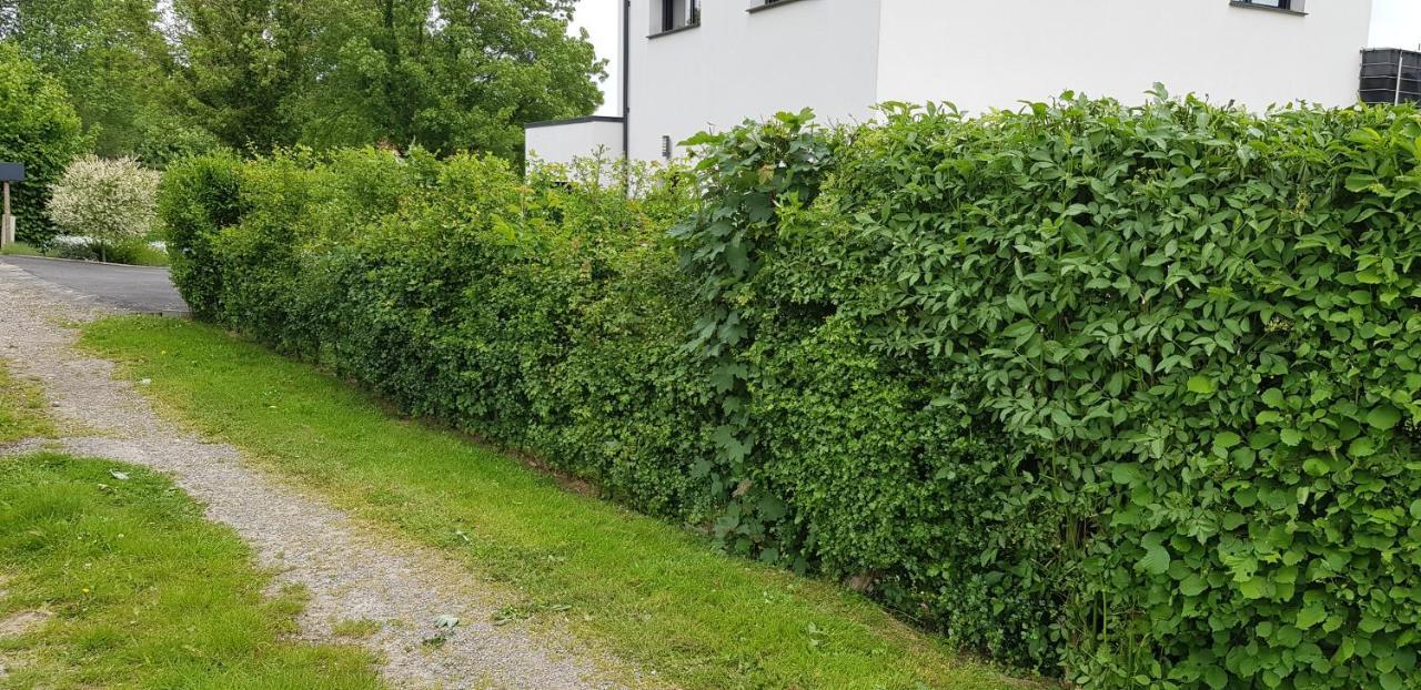 Maison Moderne A La Campagne Bezinghem Exterior foto